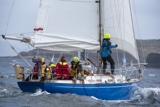 scintilla of the sea 920y whyw25 750 _6320